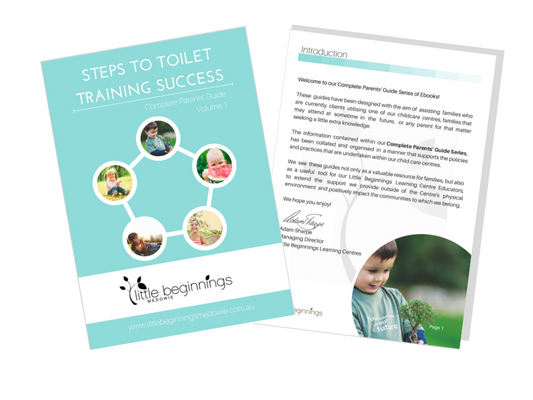 Steps to successful toilet training